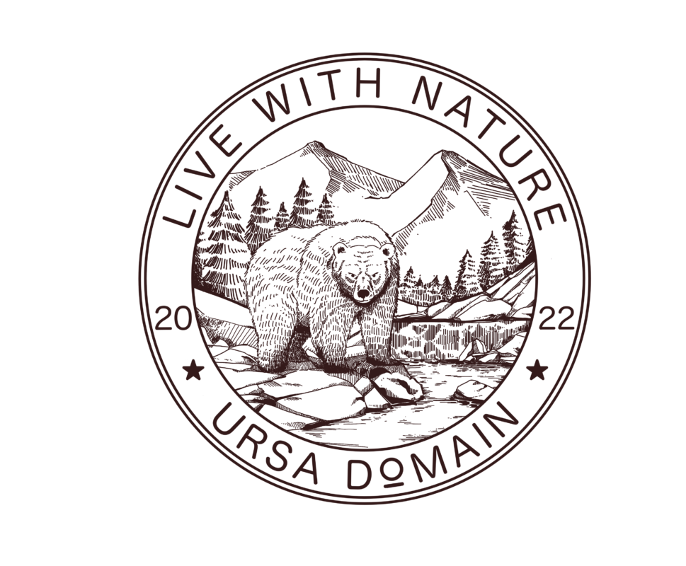 Ursa Domain